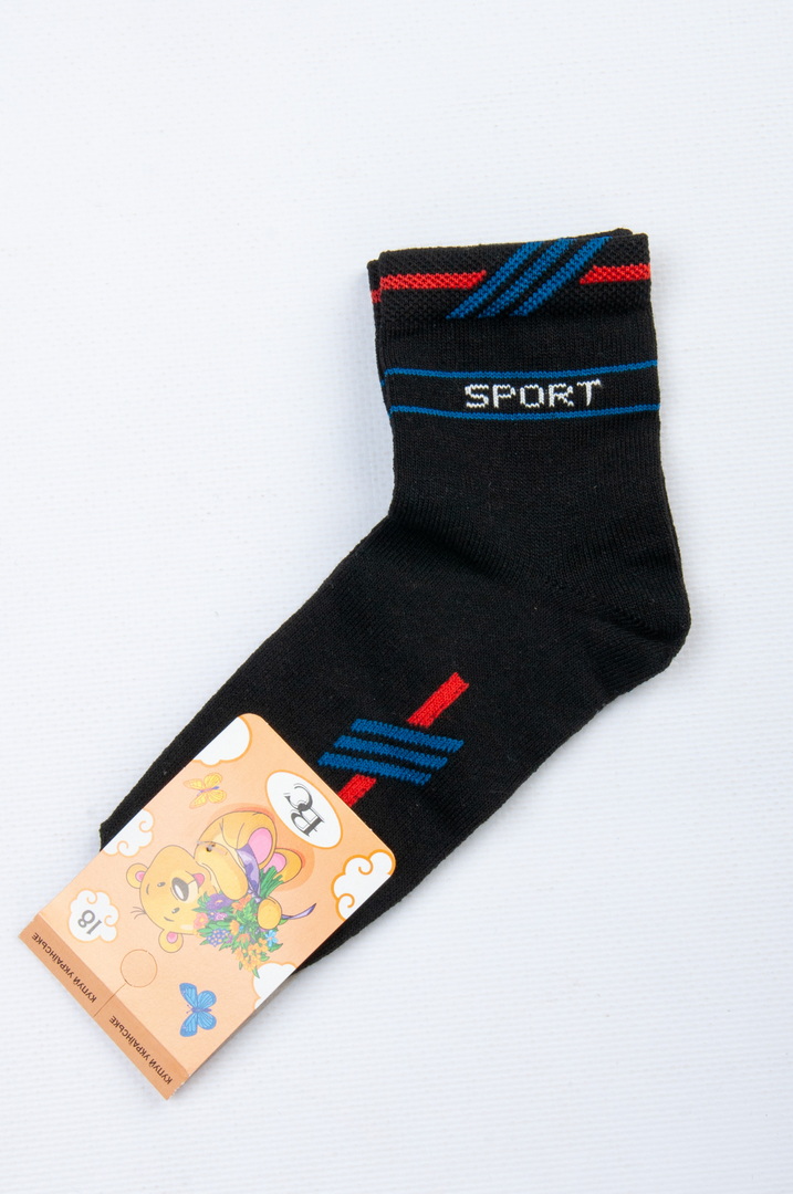 Шкарпетки для хлопчик демісезонні 